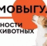 Чем опасен самовыгул для вашего питомца? - Дуванский район